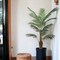 6ft Areca Palm Tree in Black Pot with 567 Realistic Leaves, Floral Home by Artificial Flowers
